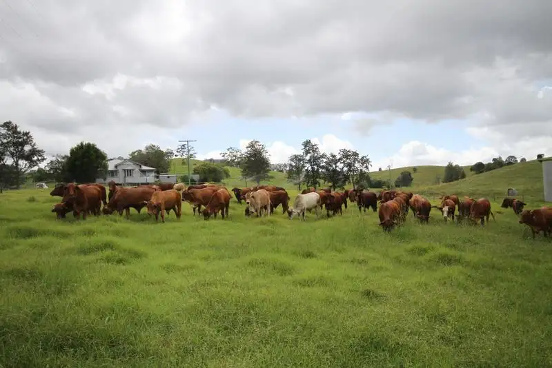 Main view of Homely rural property listing, 14 Sankeys Road, Federal QLD 4568