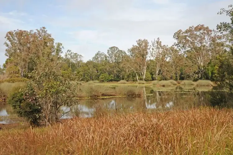 Seventh view of Homely rural property listing, Lot 51 Summerland Way, Gurranang NSW 2460