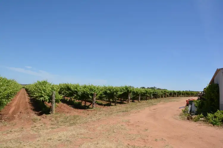 Fourth view of Homely rural property listing, 183 Sixth Street, Merbein VIC 3505