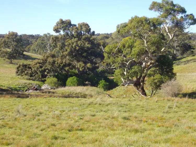 Fourth view of Homely land listing, Palmer Rd Beetaloo Valley Via, Laura SA 5480
