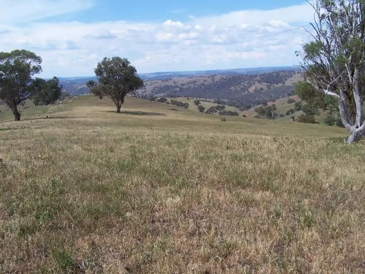 Sixth view of Homely rural property listing, 141 Blackmans Road, Bigga NSW 2583