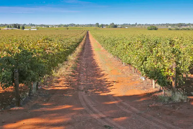 Third view of Homely rural property listing, 141 Pascendale Avenue, Yelta VIC 3505