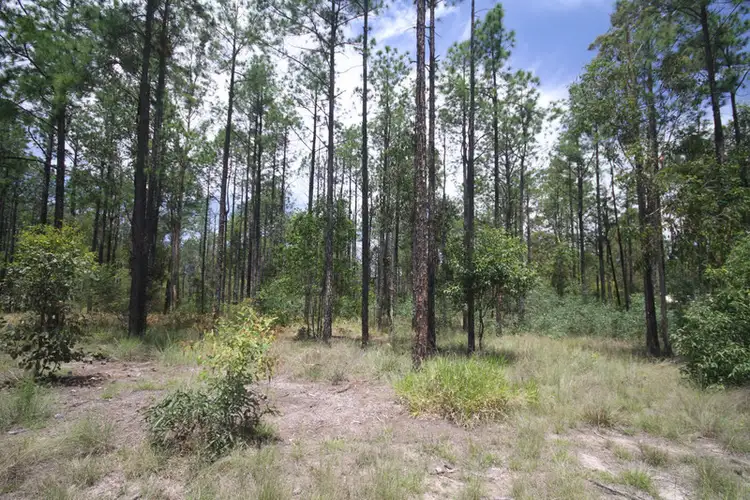 Lot 734 Neerdie Road, Glenwood QLD 4570