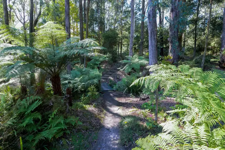 Fourth view of Homely house listing, 5 Golden Perch Avenue, East Warburton VIC 3799