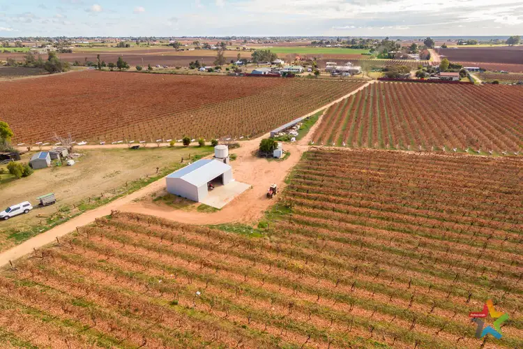 Second view of Homely rural property listing, 229 Nursery Ridge Road, Red Cliffs VIC 3496