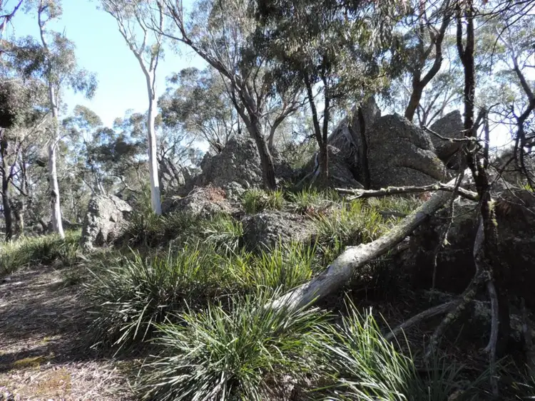 Main view of Homely rural property listing, 981 Jerrong Road, Taralga NSW 2580