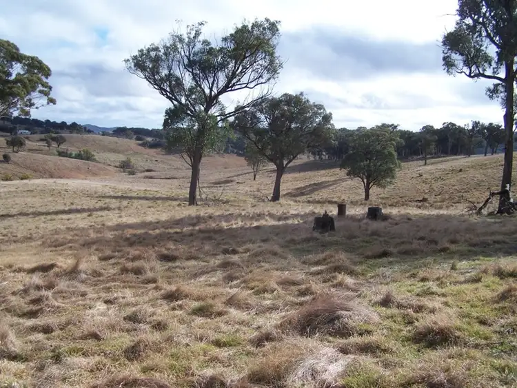 Seventh view of Homely rural property listing, 1252 Kangaloolah Road, Binda NSW 2583