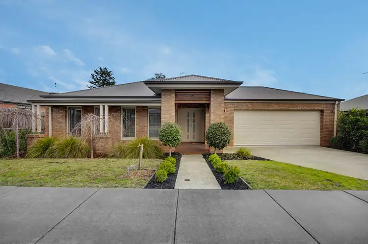 29 Hoddle Drive, Leopold VIC 3224