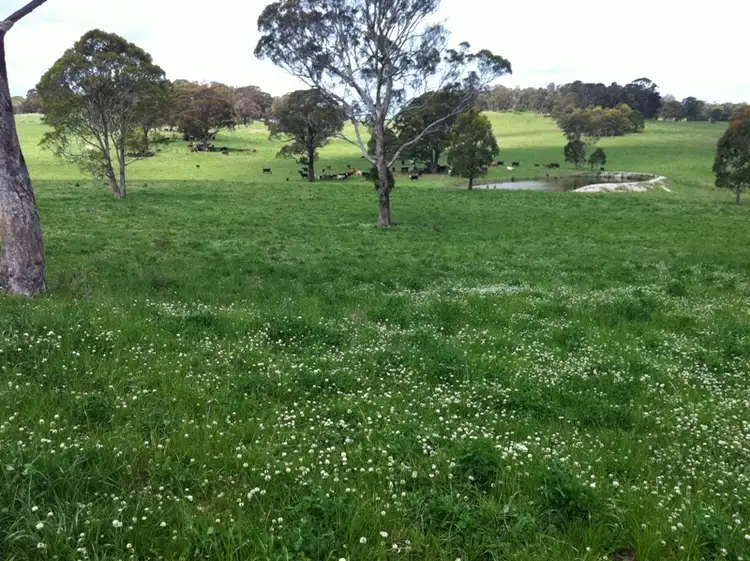 Sixth view of Homely rural property listing, 3984 Rockvale Road, Armidale NSW 2350