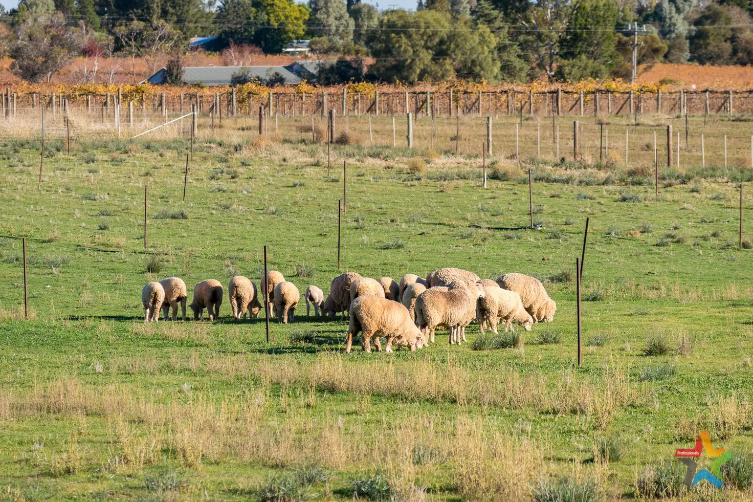 Main view of Homely other listing, 46 Cassia Street, Red Cliffs VIC 3496