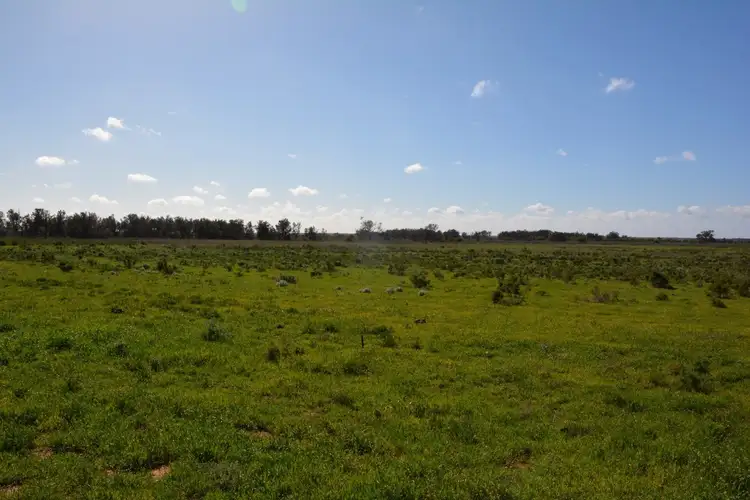 Sixth view of Homely land listing, LOT Lot, 167 Peppertree Lane, Coomealla NSW 2717
