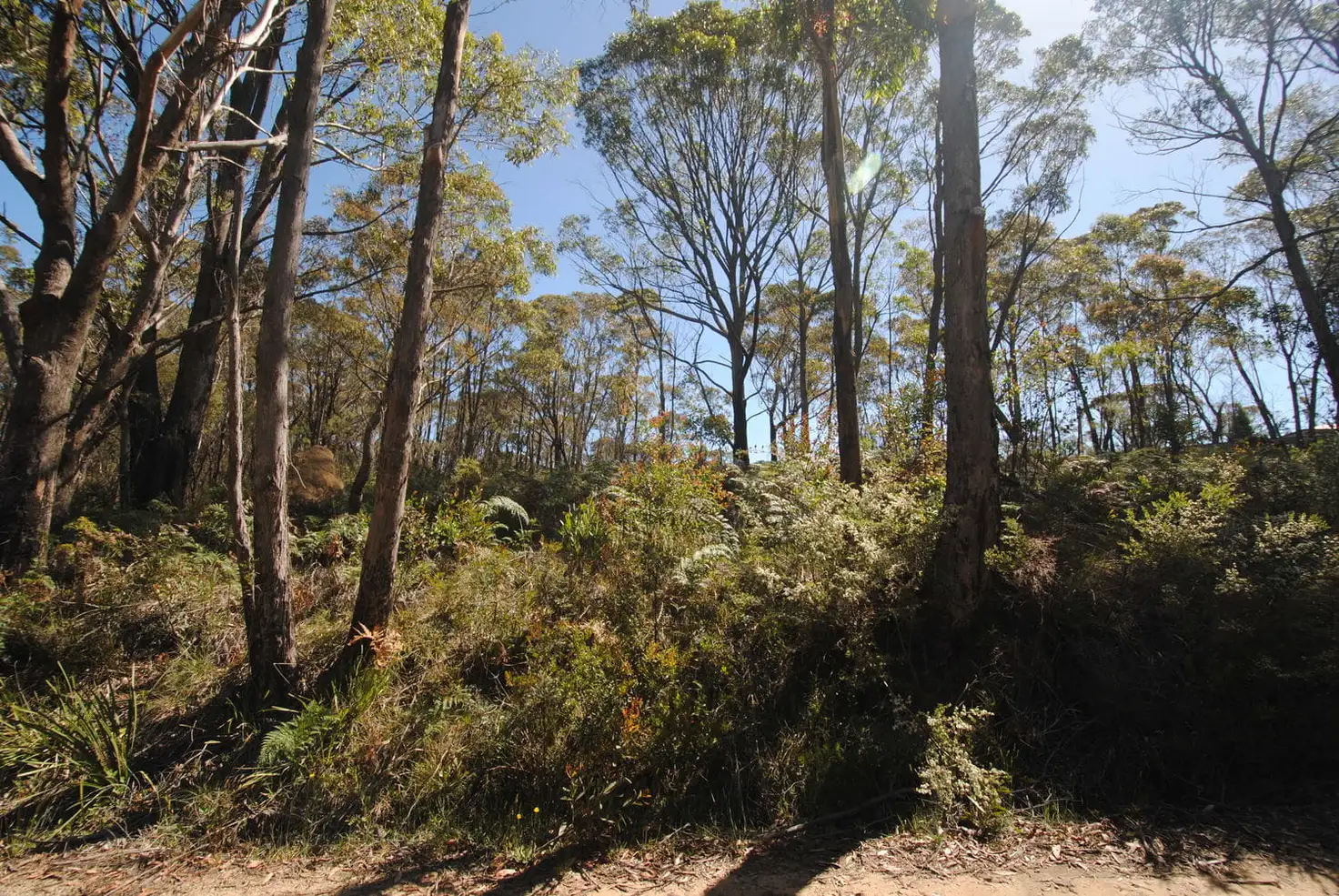 Main view of Homely land listing, 325 Chifley Road, Dargan NSW 2786