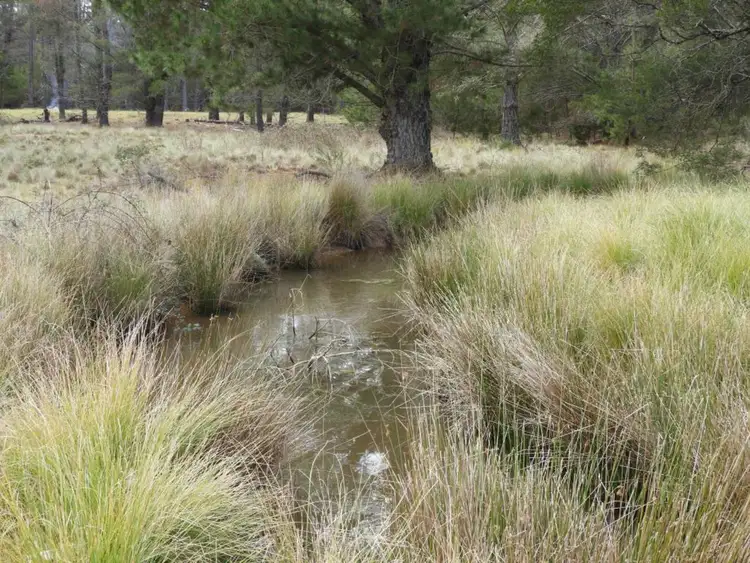 Third view of Homely rural property listing, 8422 Nerriga Road, Nerriga NSW 2622