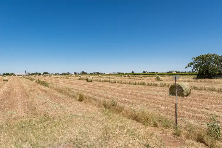 Fourth view of Homely rural property listing, 121 Belar Avenue, Irymple VIC 3498