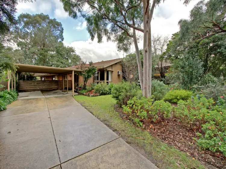 Main view of Homely house listing, 14 Bambra Street, Croydon VIC 3136