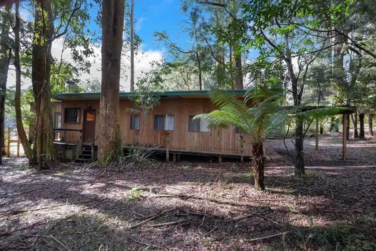 243 Big Pats Creek Road, Big Pats Creek VIC 3799