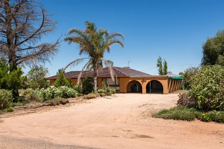 Main view of Homely rural property listing, 4 Tulloch Road, Red Cliffs VIC 3496