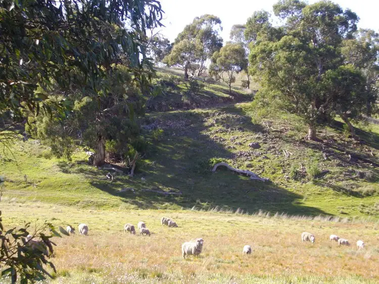 Fifth view of Homely land listing, Palmer Rd Beetaloo Valley Via, Laura SA 5480