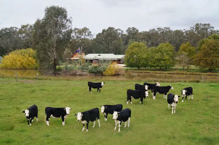 Fourth view of Homely rural property listing, 95 Shepparton-Euroa Road, Shepparton East VIC 3631