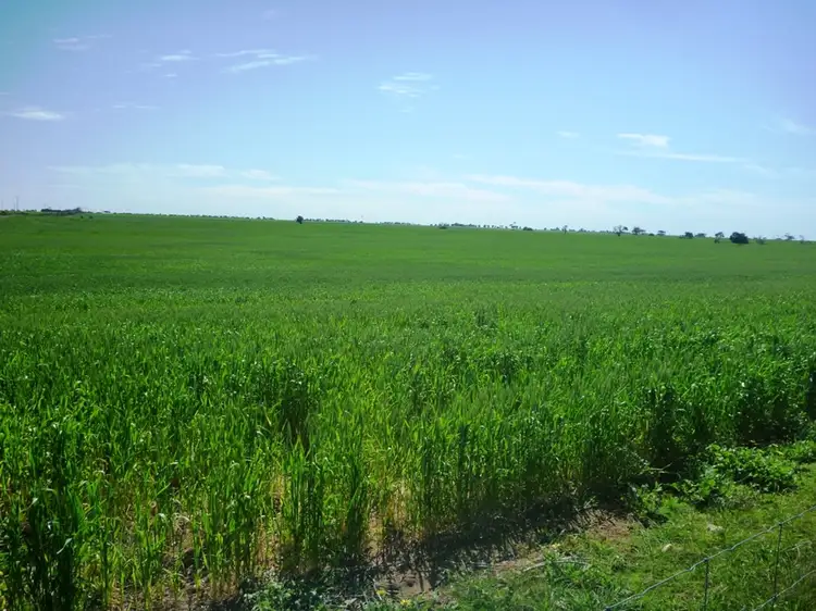 Second view of Homely rural property listing, 260 Lake Fowler Road, Coobowie SA 5583