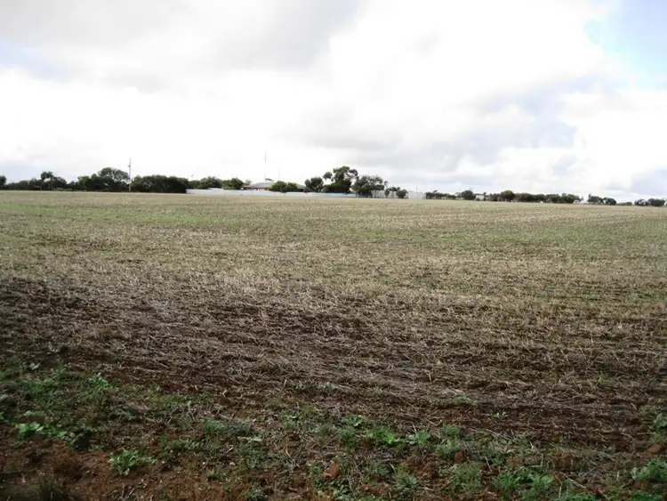 Lot 20 Ellis Road, Wallaroo SA 5556
