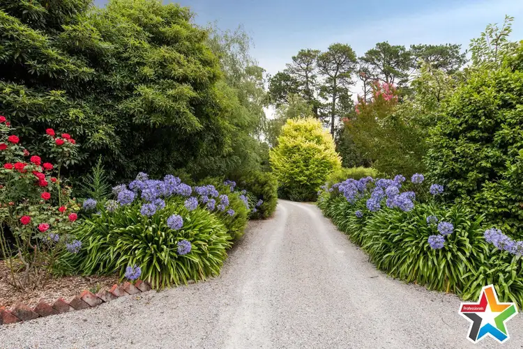 Second view of Homely house listing, 22 Montrose Road, Montrose VIC 3765