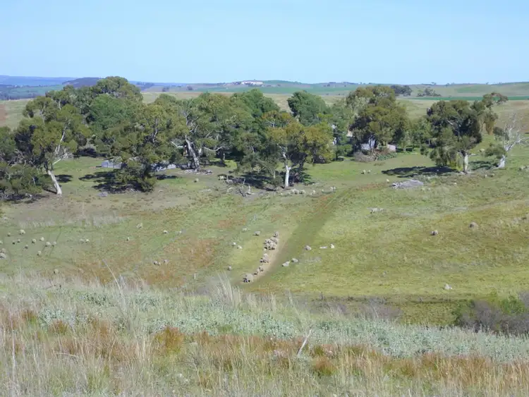 Third view of Homely land listing, Palmer Rd Beetaloo Valley Via, Laura SA 5480