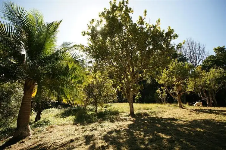 Fifth view of Homely house listing, 35A Blackbean Road, Wilsons Creek NSW 2482