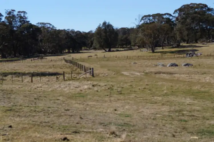 Seventh view of Homely rural property listing, 1350 Wards Mistake Road, Guyra NSW 2365