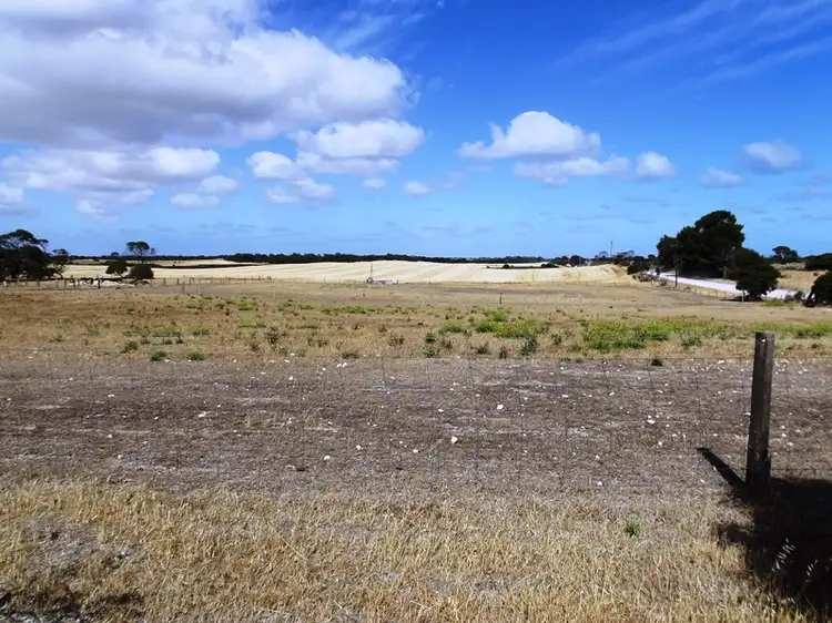 Fifth view of Homely rural property listing, 254 Reo Road, The Pines SA 5577