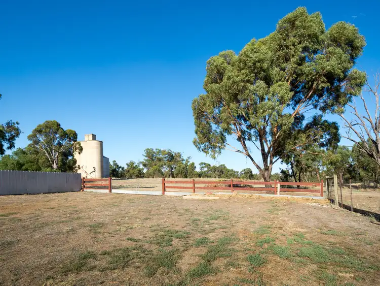 Seventh view of Homely house listing, 19 Welch Street, Wunghnu VIC 3635