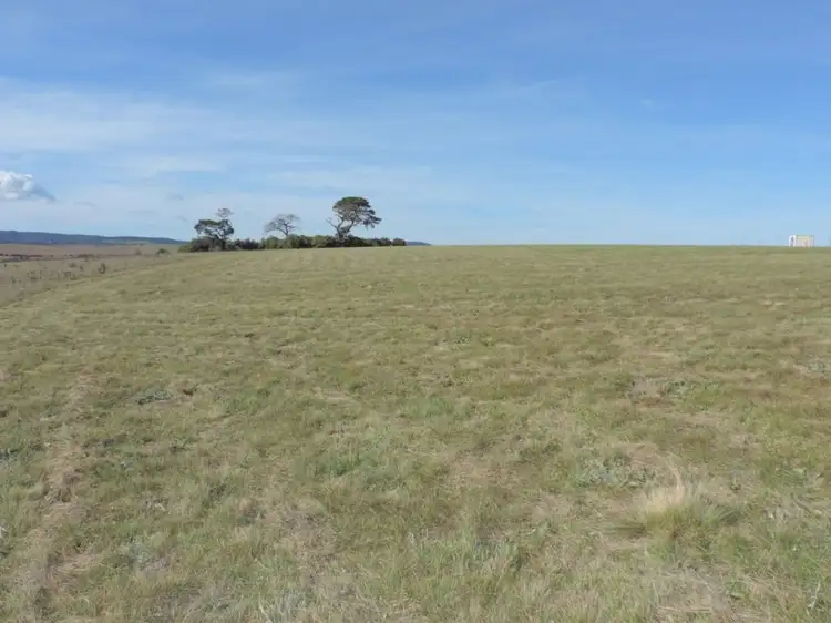 Sixth view of Homely rural property listing, 170 Gretta Road, Goulburn NSW 2580