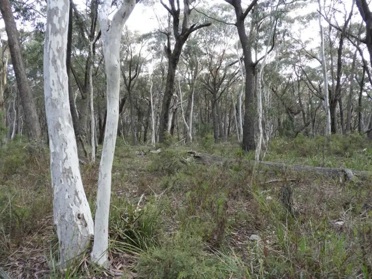 Sixth view of Homely rural property listing, 528 530 Mares Forest Road, Wombeyan Caves NSW 2580