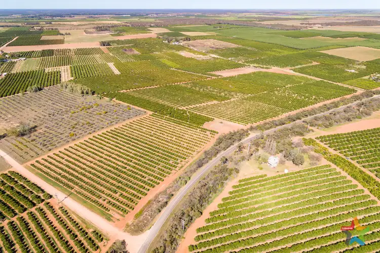 Sixth view of Homely rural property listing, 2940 Kulkyne Way, Colignan VIC 3494