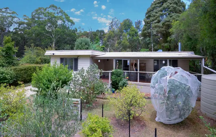 16 Whitegum Drive, East Warburton VIC 3799