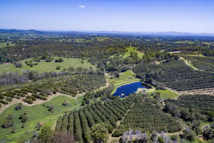Second view of Homely rural property listing, 502 Gate Road, Canina QLD 4570