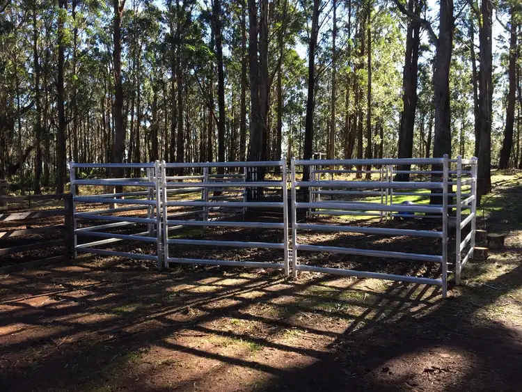 Fourth view of Homely rural property listing, 70 Braidwood Road, Sassafras NSW 2622