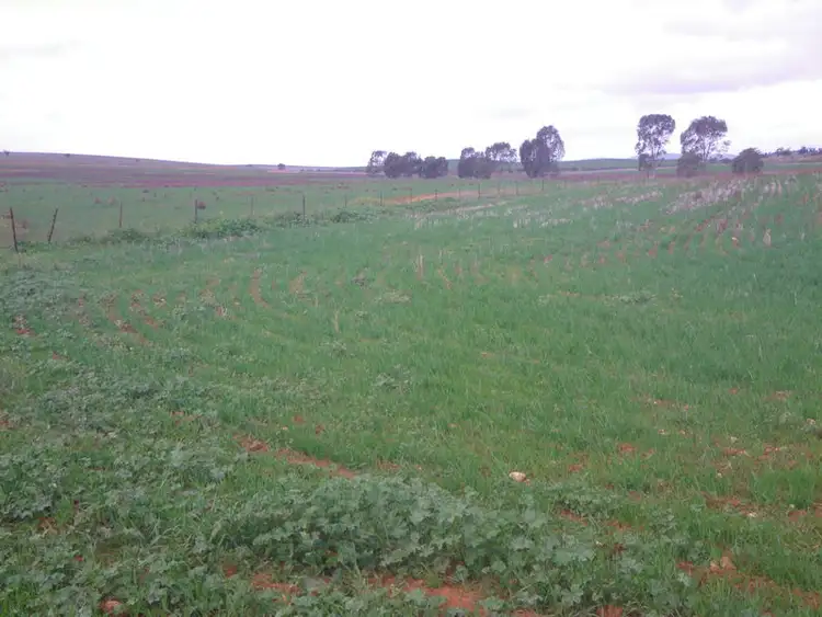 Seventh view of Homely rural property listing, Gladstone Caltowie Road, Gladstone SA 5473