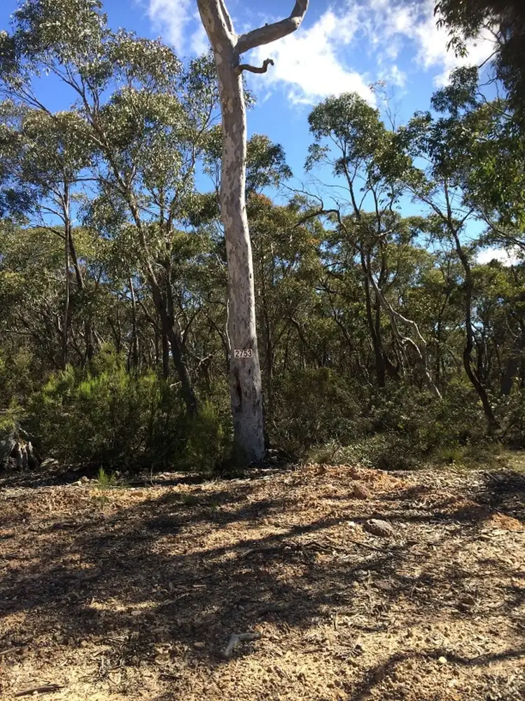 Seventh view of Homely rural property listing, 2753 Charleys Forest Road, Nerriga NSW 2622
