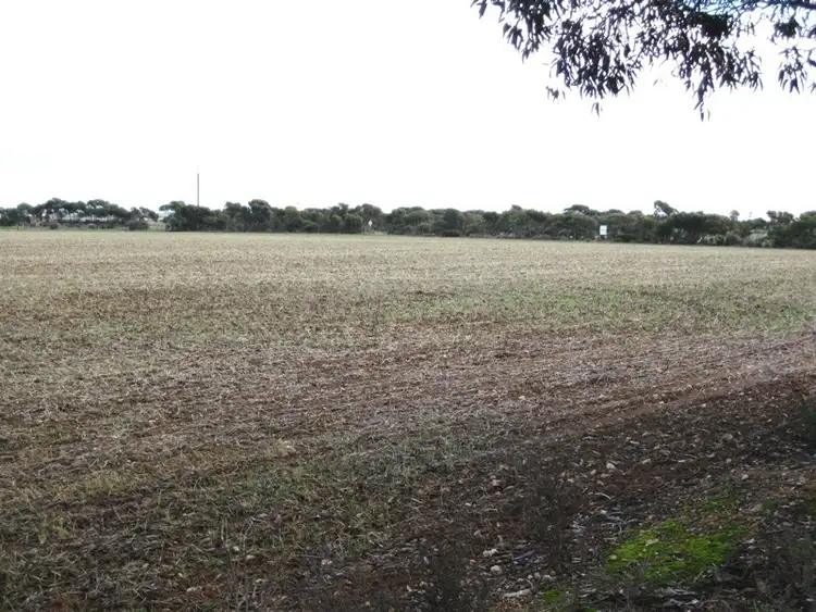 Main view of Homely rural property listing, Lot 21 Ellis Road, Wallaroo SA 5556