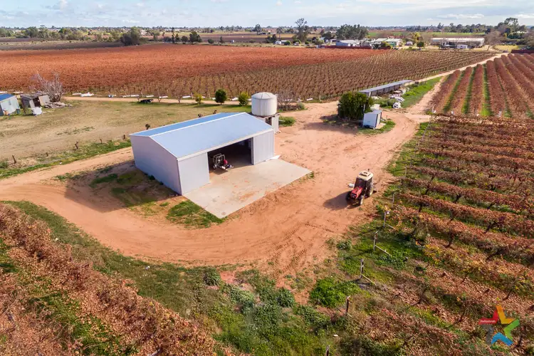 Fourth view of Homely rural property listing, 229 Nursery Ridge Road, Red Cliffs VIC 3496