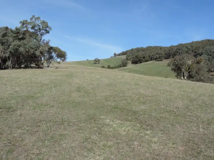 Third view of Homely rural property listing, 671 Bridge Creek Road, Binda NSW 2583