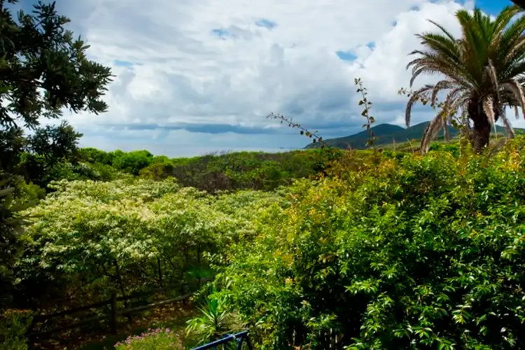 Third view of Homely townhouse listing, 3B Burrawong Place, Forster NSW 2428