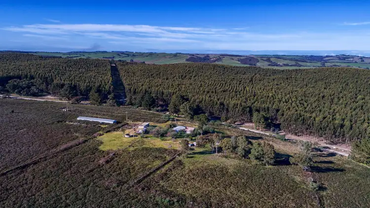 Second view of Homely rural property listing, 388 Lanacoona Road, Pages Flat SA 5172