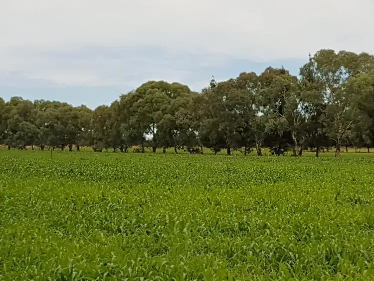 Third view of Homely rural property listing, 1307 Boothroyds Road, Numurkah VIC 3636