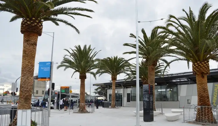 Seventh view of Homely unit listing, 8/135-145 Athol Road, Springvale South VIC 3172