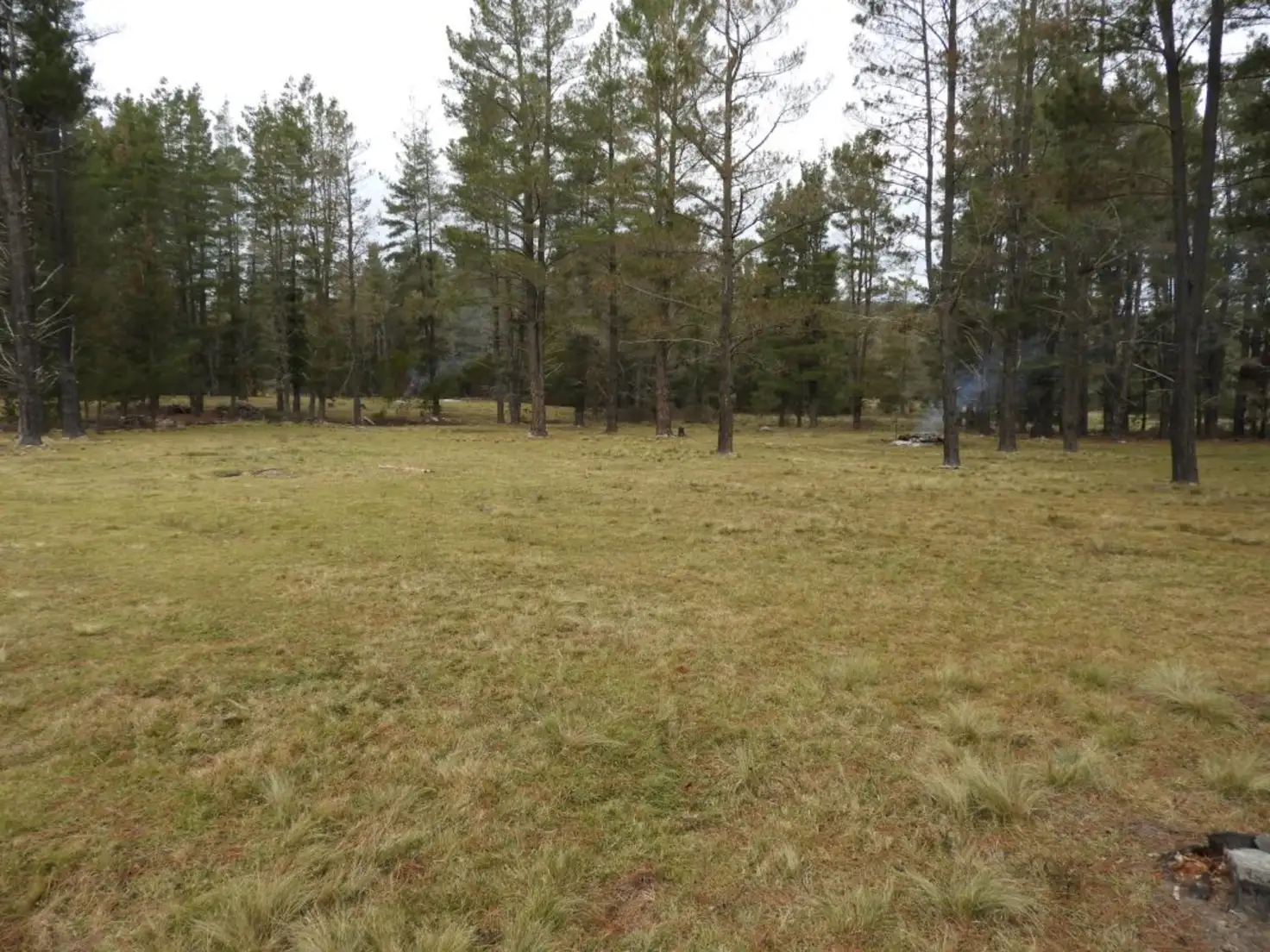 Main view of Homely rural property listing, 8422 Nerriga Road, Nerriga NSW 2622