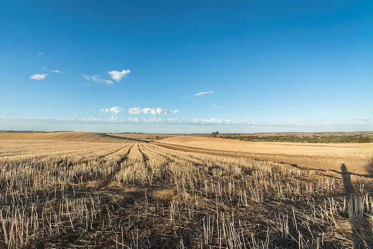 Fourth view of Homely rural property listing, 480, 481 & 495 Thiele Highway, Kapunda SA 5373