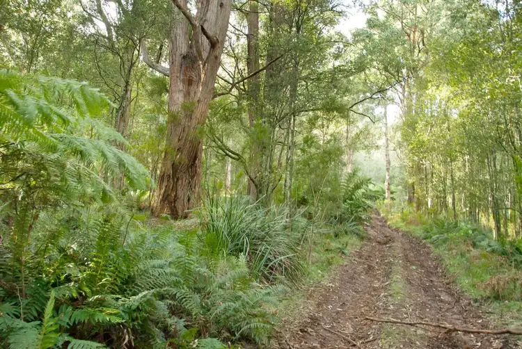 Main view of Homely land listing, 1055 Don Road, Healesville VIC 3777