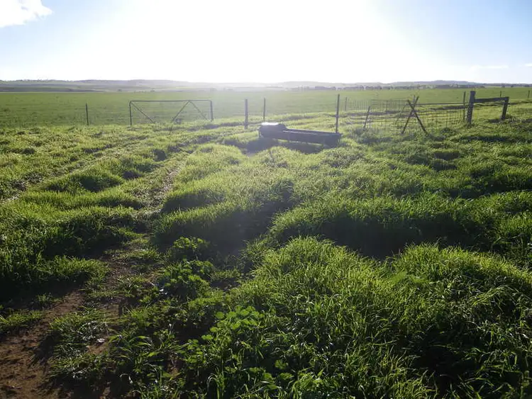 Fourth view of Homely rural property listing, Secs. 80, 81N & 81S Hundred, Appila SA 5480